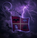 HHOF flag keychain